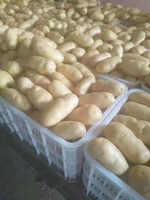 Fresh Premium Potatoes – product photo 2, product detail gallery